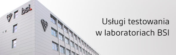 Usługi w zakresie testowania