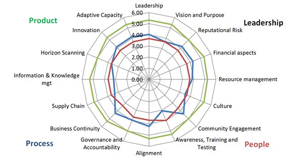 Organizational resilience Spider Diagram