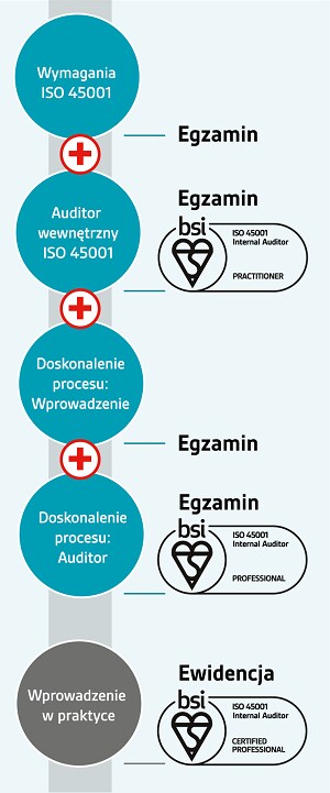 ISO 45001 Internal Auditor pathway