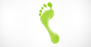 Green footprint on white background.