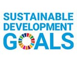 SDG logo