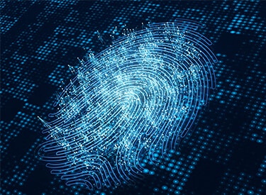 Digital fingerprint