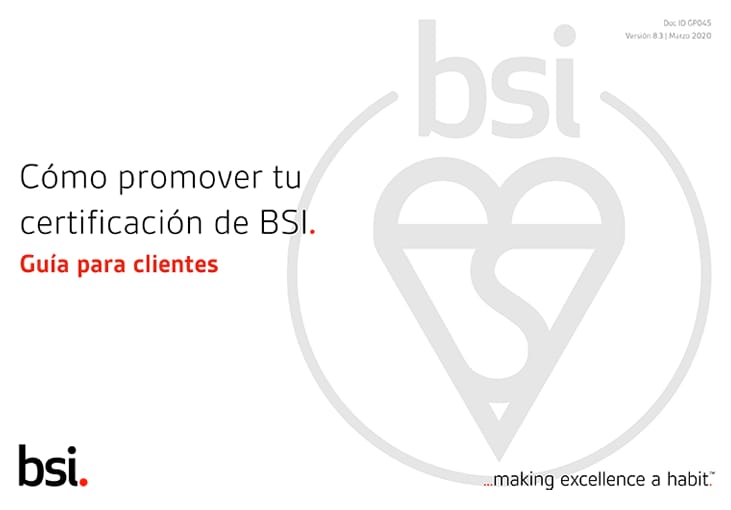 Guía de Marca BSI