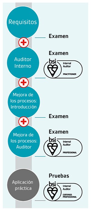 Internal auditor pathway