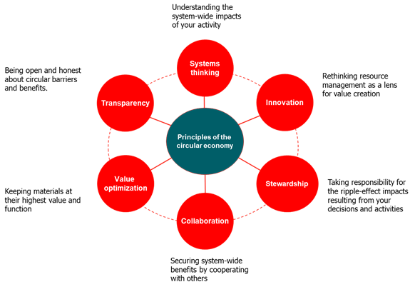 principles for circular economy