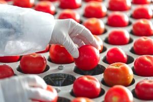 man working with food