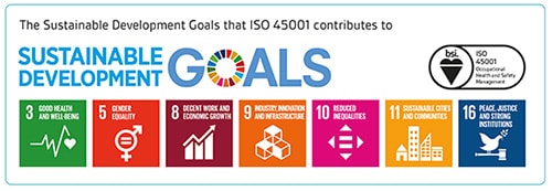 Sustainable development goals