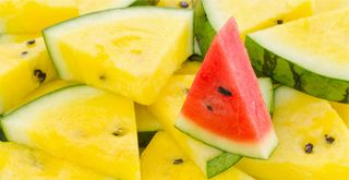 PL-HEADER-Food-Sector-watermellon-320x165