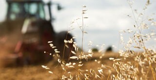 Food and agriculture - tractor on field