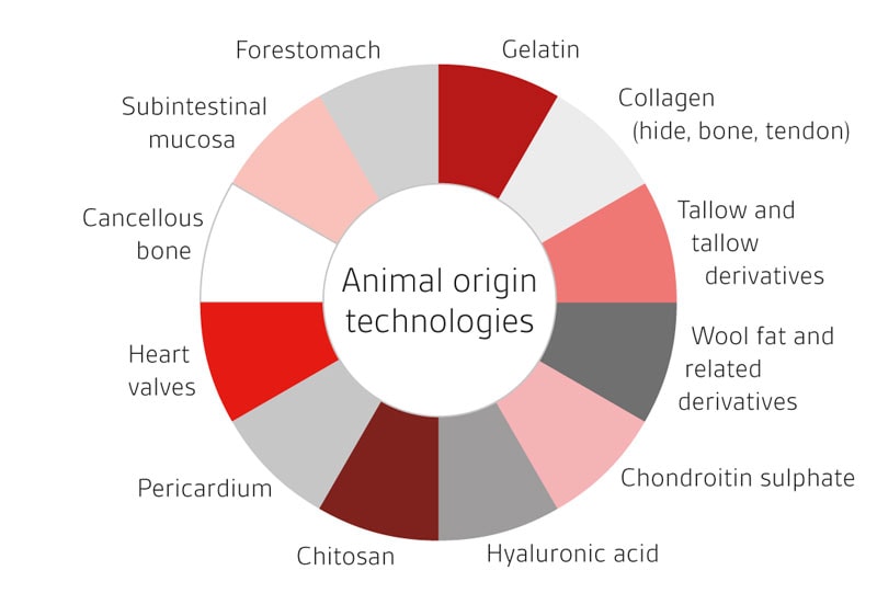 Technologies des dispositifs médicaux utilisant des tissus d'origine animale BSI