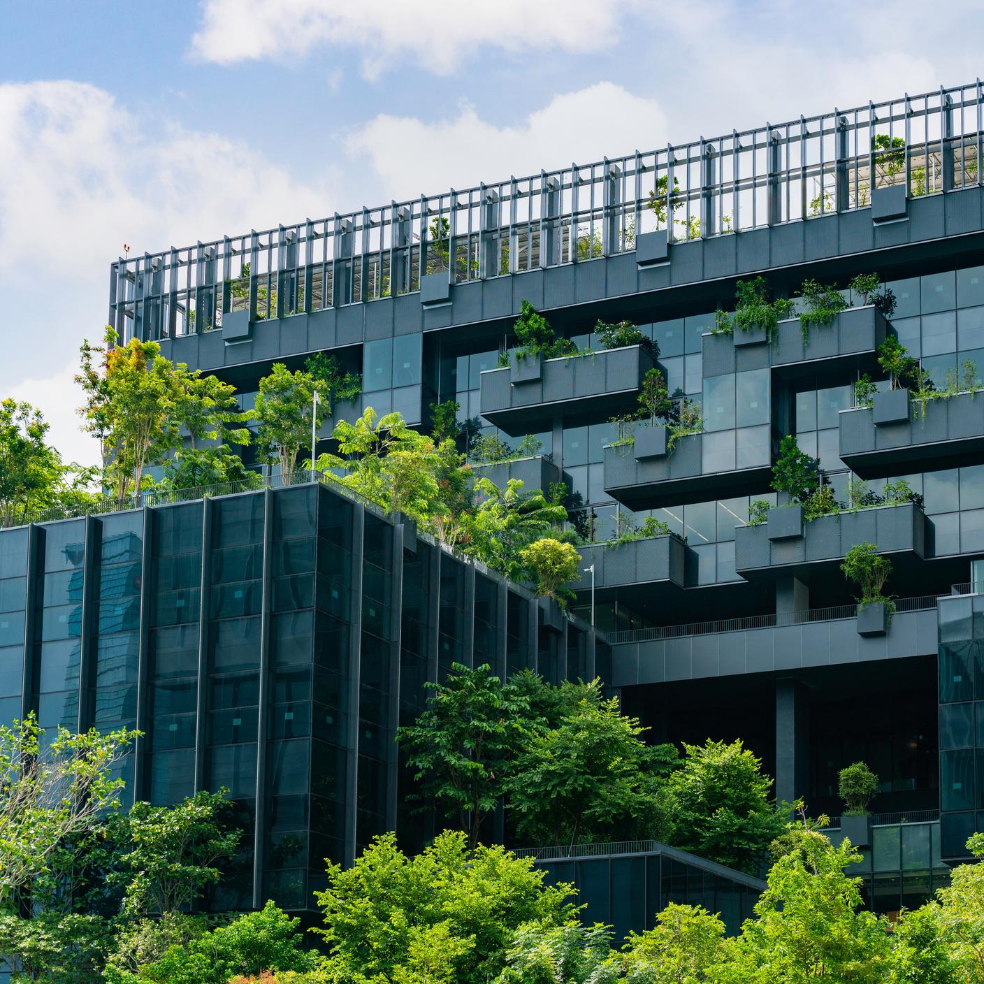 Green building with vertical garden