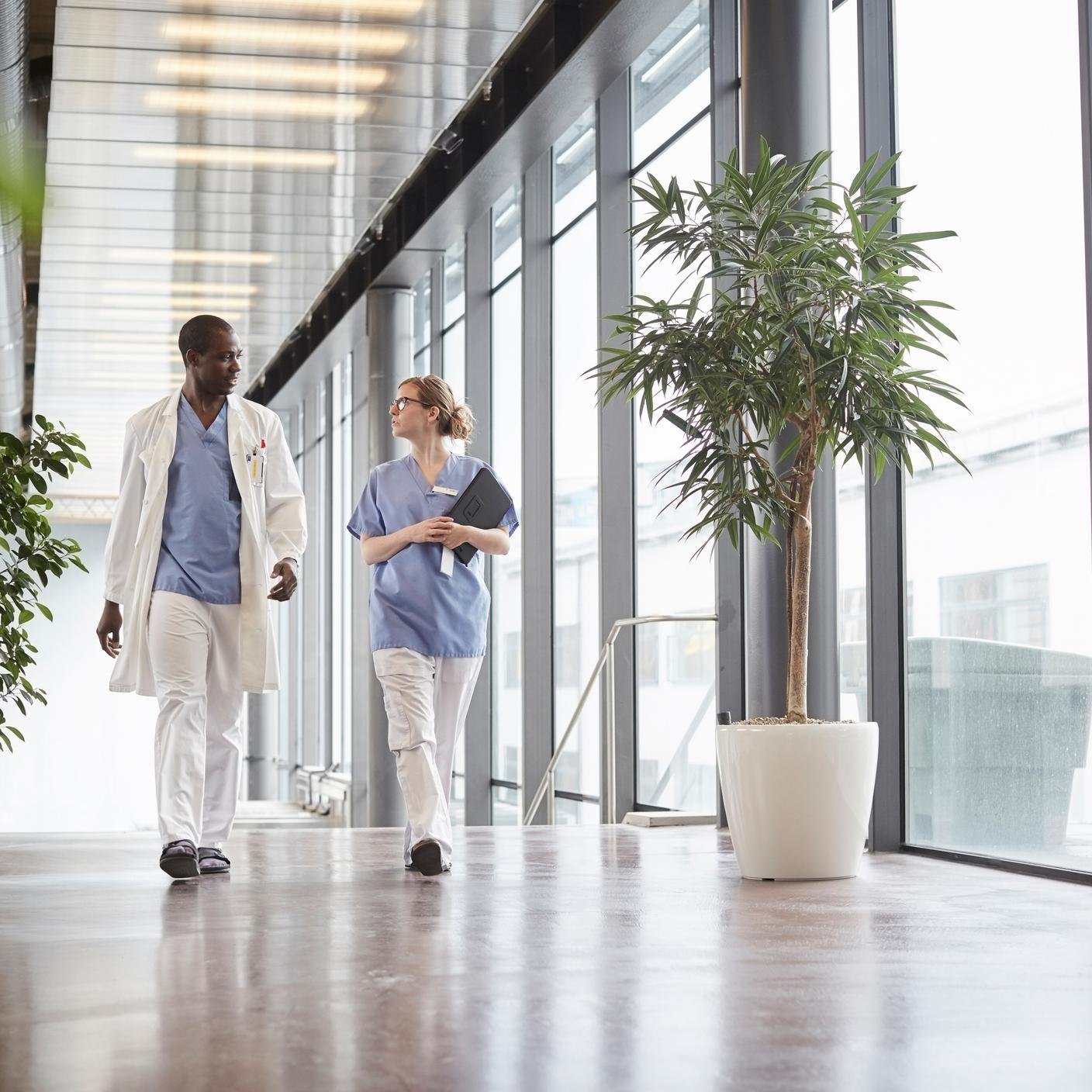 Two Nurse walking in corridor 