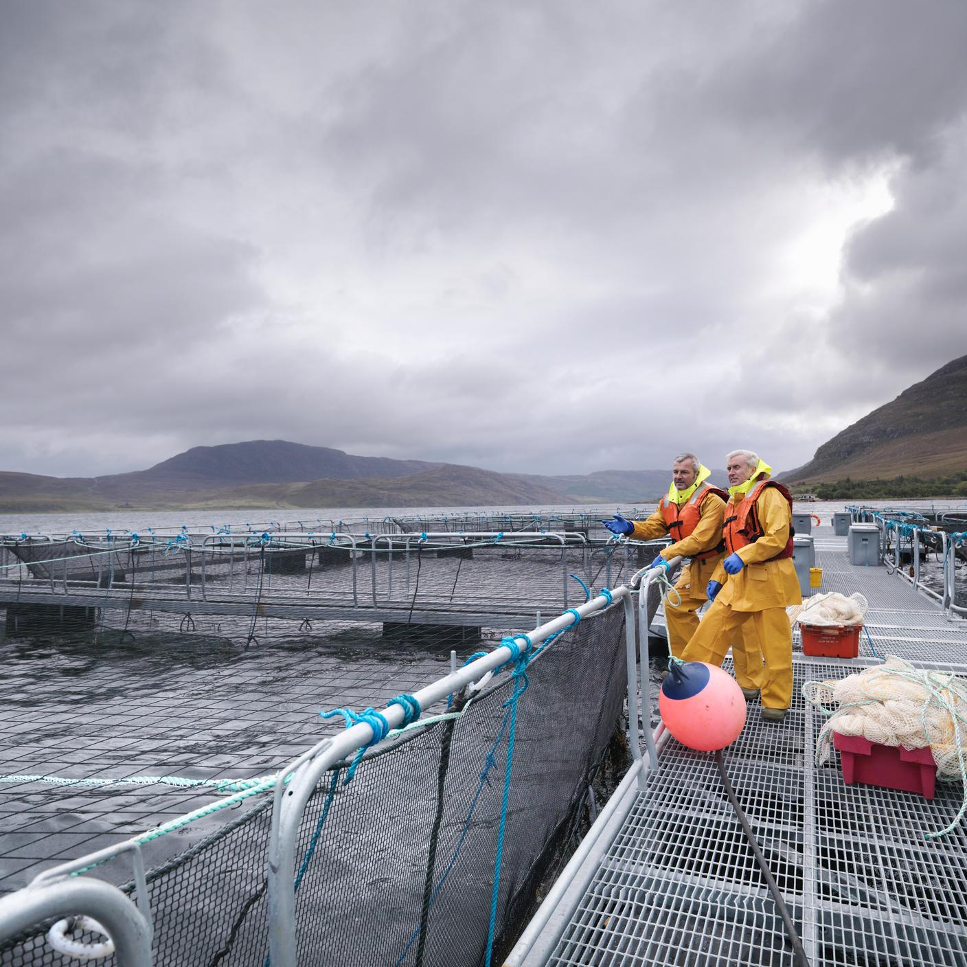 fishermen next to rails by the ocean 