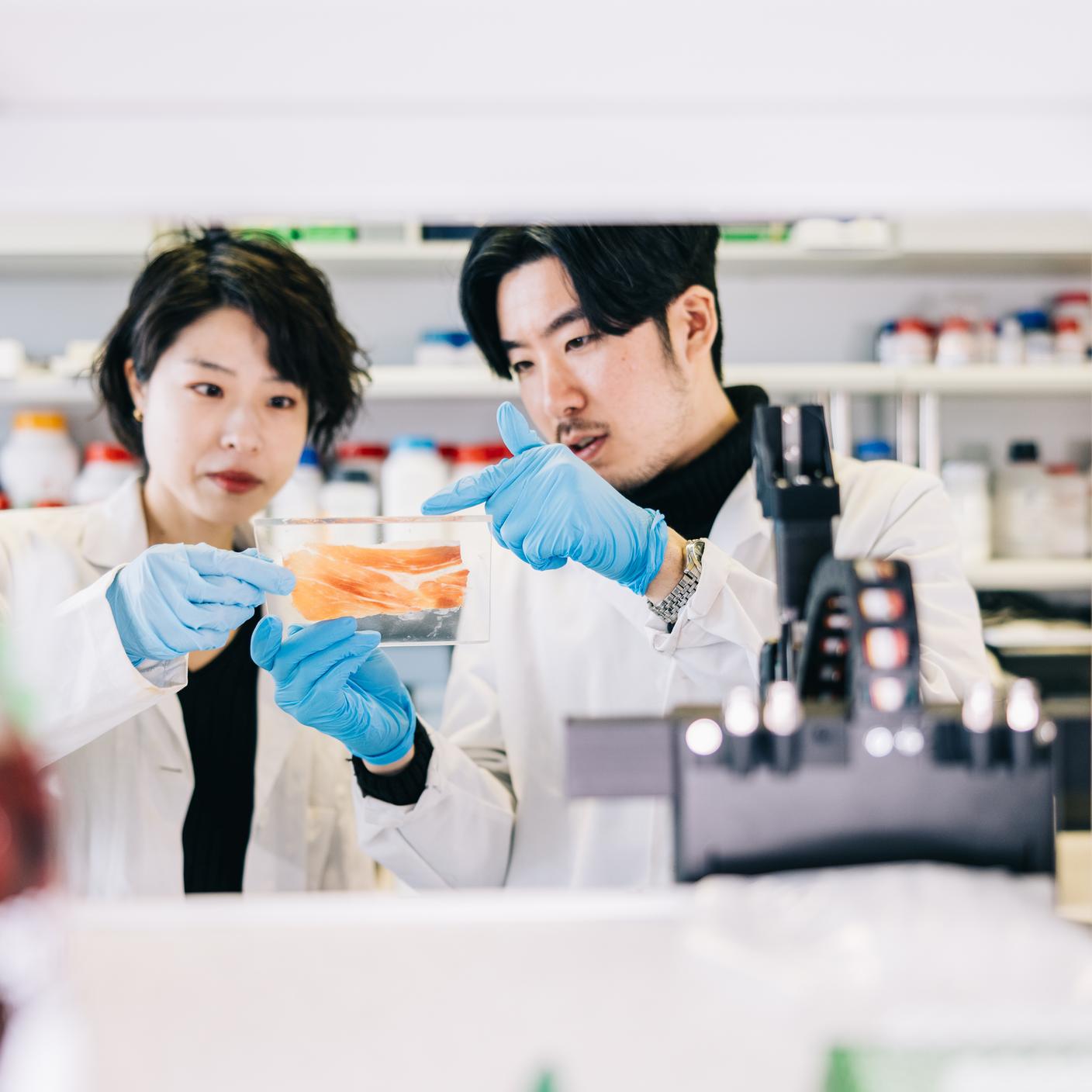 A woman and a man conducting medical researches