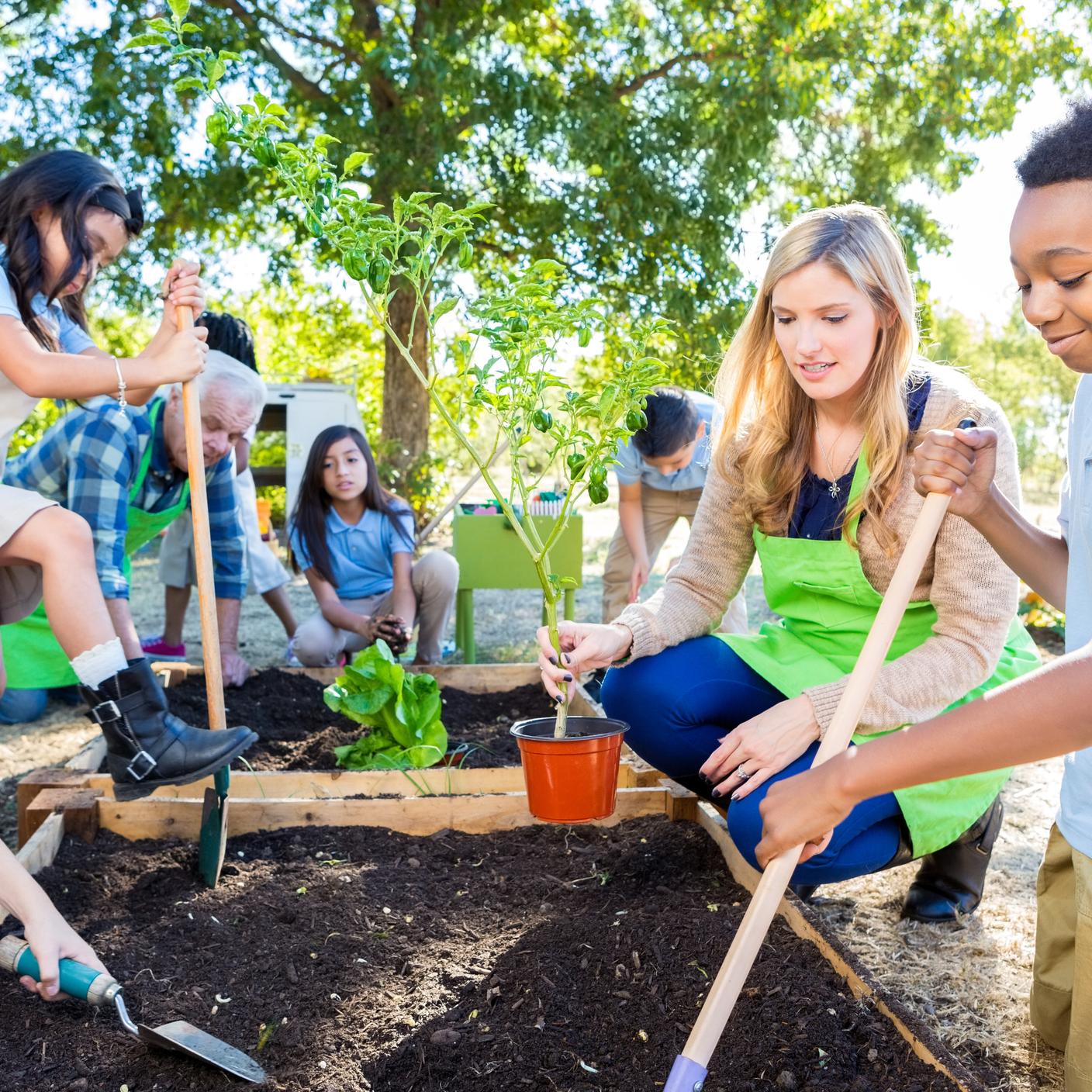 Diverse group of private elementary school students are digging in soil in vegetable garden.