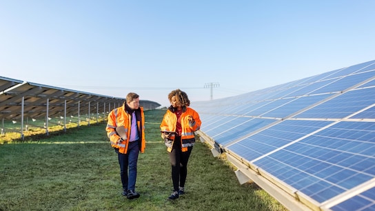 People walking next to solar panels